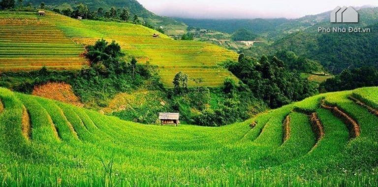 Đất phi nông nghiệp là gì? Đất phi nông nghiệp có được chuyển nhượng KO?