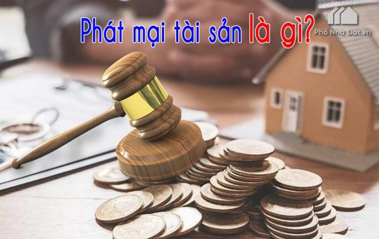 Phát mại tài sản là gì? Phát mại tài sản có lấy lại được không?