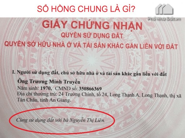 Sổ hồng chung là gì? Mua nhà sổ chung có tách sổ được không?
