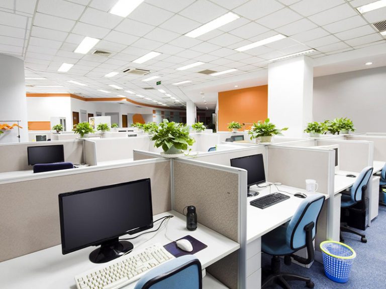 Các loại cây để bàn văn phòng đem lại may mắn nhất 2023